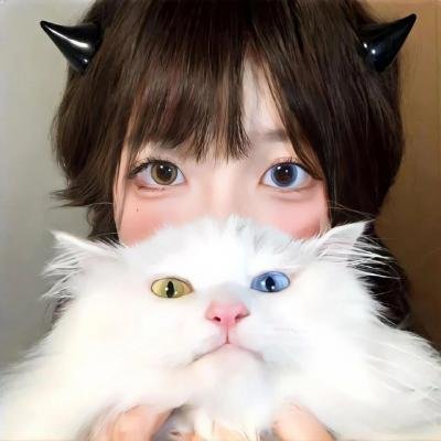 豆娘